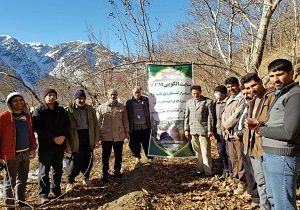 برگزاری کارگاه آموزشی جمع آوری بادام‌های آلوده به زنبور مغزخوار