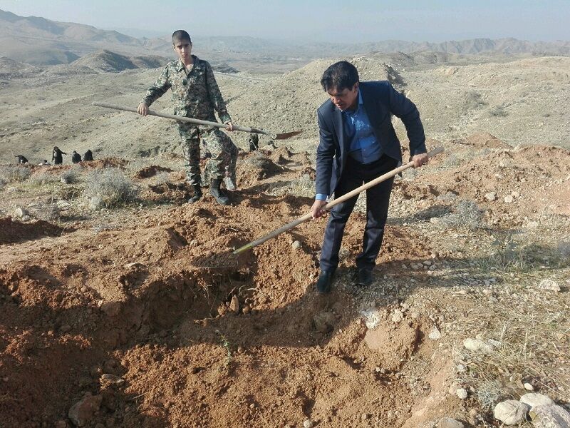 عملیات جنگل کاری در ۱۶۸ هکتار از عرصه&zwnj;های ملی گچساران اجرا شد