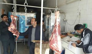 تشکیل بیش از ۶۰۰ پرونده تخلف بهداشتی در دامپزشکی خراسان شمالی