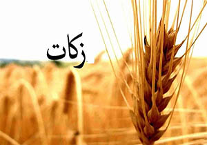 پرداخت زکات در مهاباد ۲۰ درصد افزایش یافته است