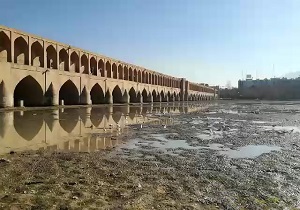 سرگردانی پرندگان مهاجر در زاینده رود بدون آب و غذا + فیلم