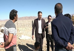 نقدینگی مهمترین معظل واحد‌های دامپروری سبزدشت بافق