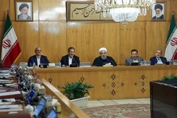 هیئت دولت برای مبارزه با آفت خرما در استان کرمان ۳۰ میلیارد ریال اعتبار اختصاص داد