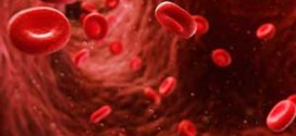 نانوکیت&zwnj;های تشخیص سریع استامینوفن و مورفین تولید شد/ دانشمندان