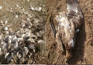 کاهش نزولات جوی در کردستان از مرز ۵۰ درصد گذشت