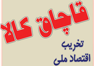 افزایش بیش از ۴۰ درصدی کشفیات کالای قاچاق در فسا