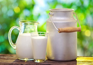 اشتغالزایی بانوی دامدار از طریق تهیه لبنیات در باغملک