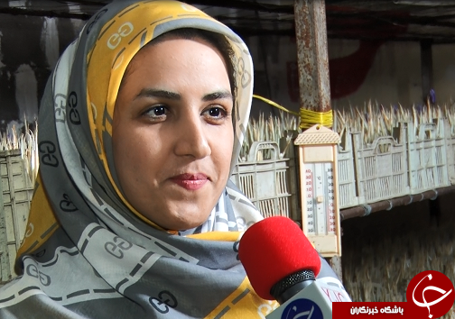 دستان زوج خوزستانی به تولید نگین سرخ رنگین شد+فیلم/کامل