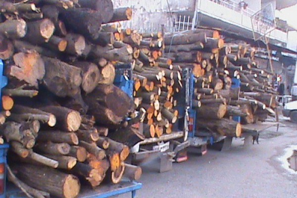 کشف سه تن چوب قاچاق در محور گچساران ـ چرام