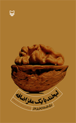 مفاهیم پیچیده فلسفی را با زبانی طنز بخوانید