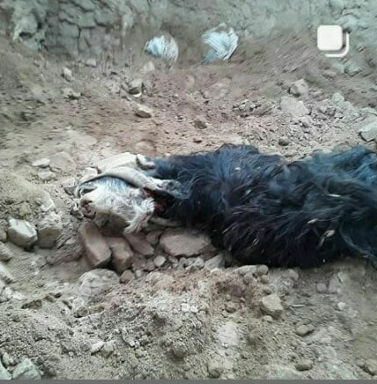 زمین لرزه ۵.۸ ریشتری سنگان را لرزاند/ بازدید میدانی از ۲۳ روستای زلزله زده