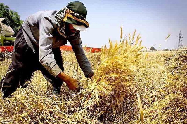 ۸۵۰ روستای همدان مشمول پرداخت زکات هستند