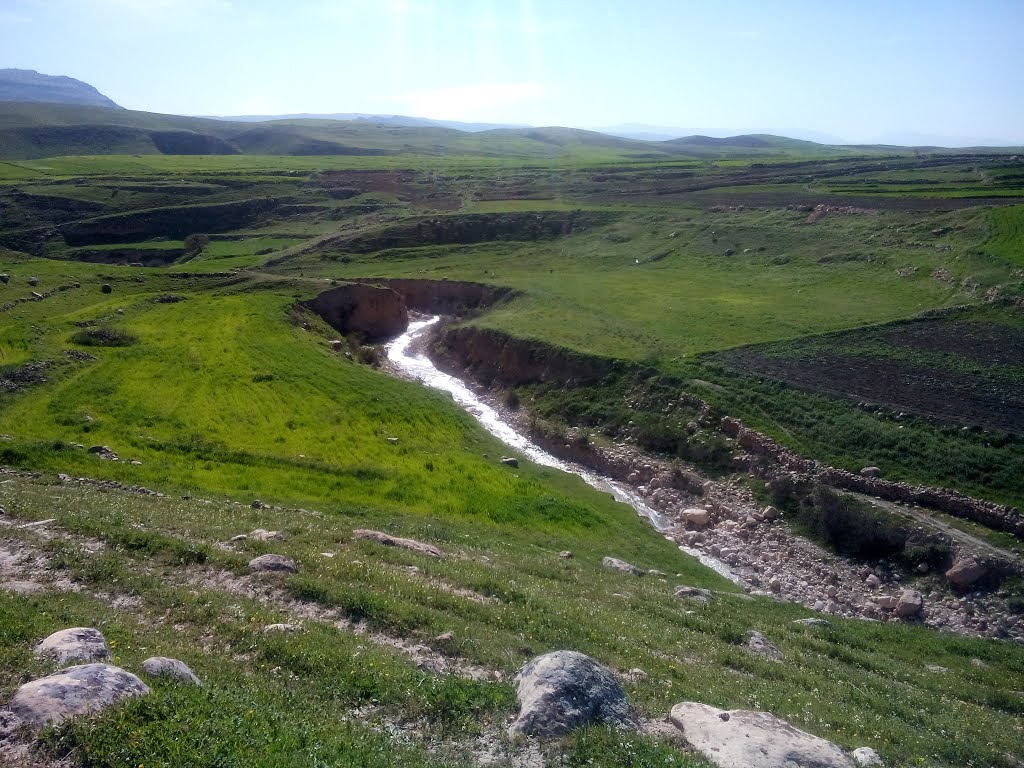 بازدید فرماندار چرداول از زیر ساخت‌های شهر توحید وکهره در هلیلان