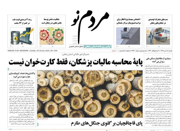 نیم قرن سینما/پای قاچاقچیان بر گلوی جنگل های طارم