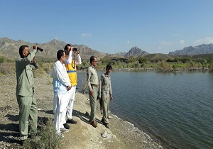پایش بیماری آنفولانزای فوق حاد پرندگان در منابع آبی نیکشهر