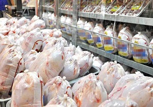 صادرات ۴۰ درصد تولیدات گوشت مرغ مازاد برنیاز کردستان