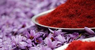 اعتبار ۷۰۰ میلیارد تومانی خرید حمایتی زعفرانکاران خراسان رضوی