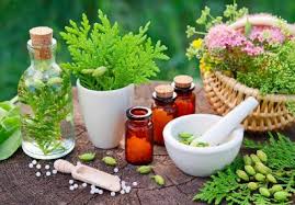 تغذیه مناسب در زمستان از دیدگاه طب سنتی