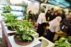 ساخت مدارس سبز در شهر اصفهان کلید خورد