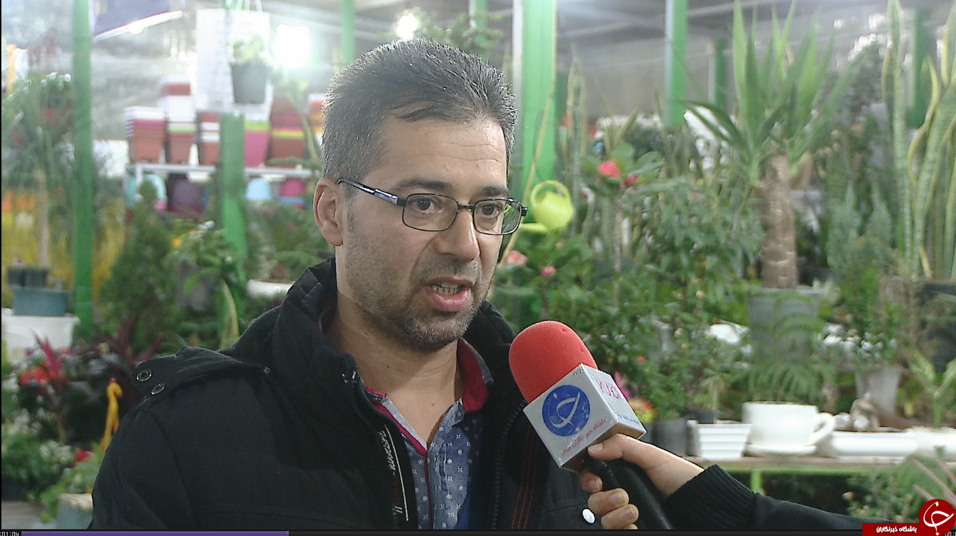 اینجا همیشه بهار است