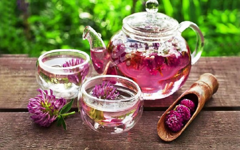 کبد و دستگاه گوارش خود را به این گیاه بسپارید