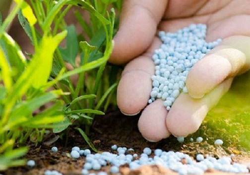 نبود کمبود در بخش نهاده‌های کشاورزی گلستان