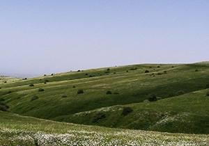 رفع تصرف ۸۸۴ هکتار از منابع طبیعی مهاباد