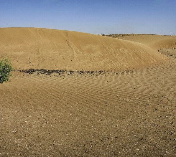 ۶ طرح بیابان زدایی دلگان آماده افتتاح و کلنگ‌زنی است