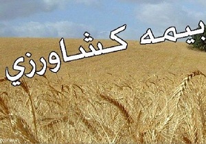 تعیین تکلیف ۹۰ درصد غرامت‌های کشاورزان خسارت دیده