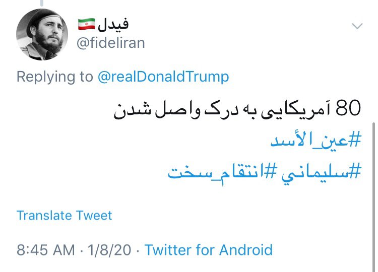 عین الاسد