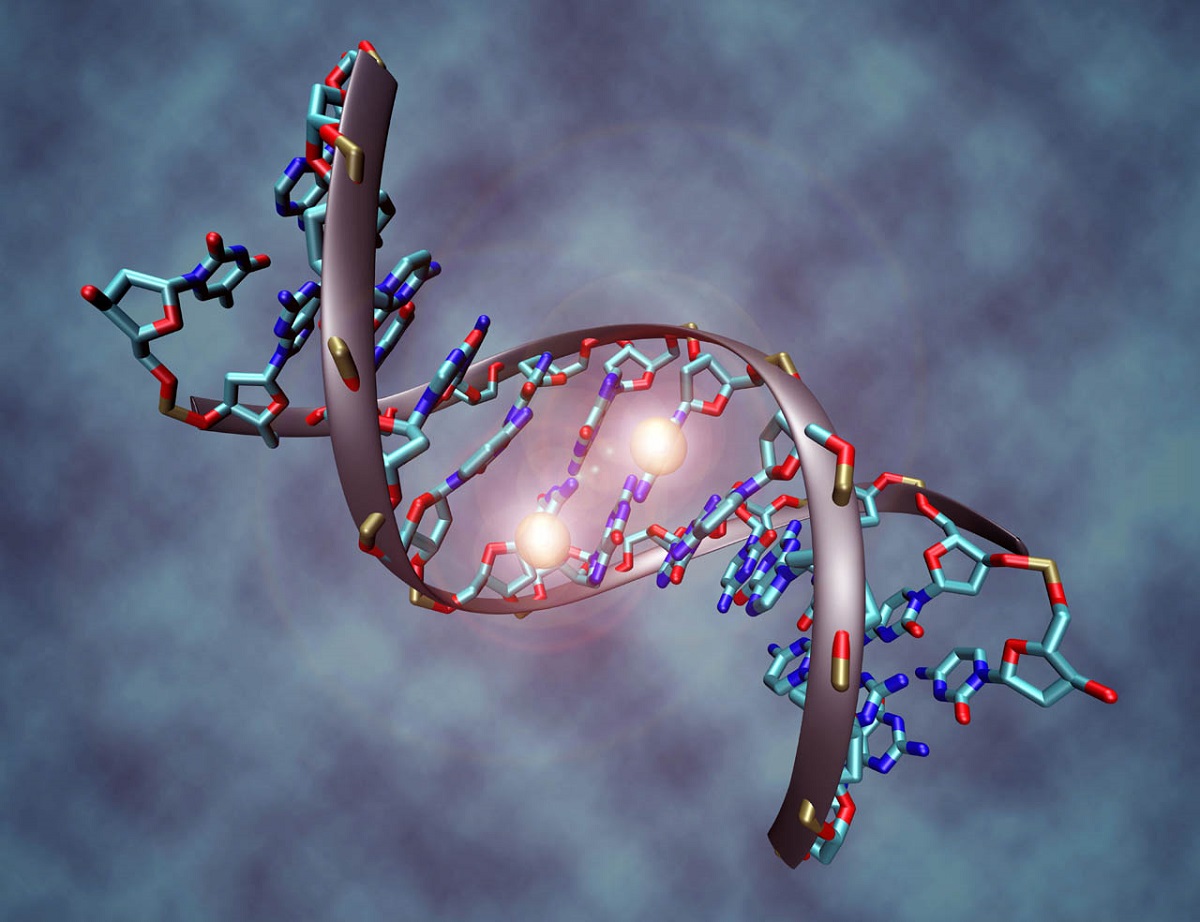DNA