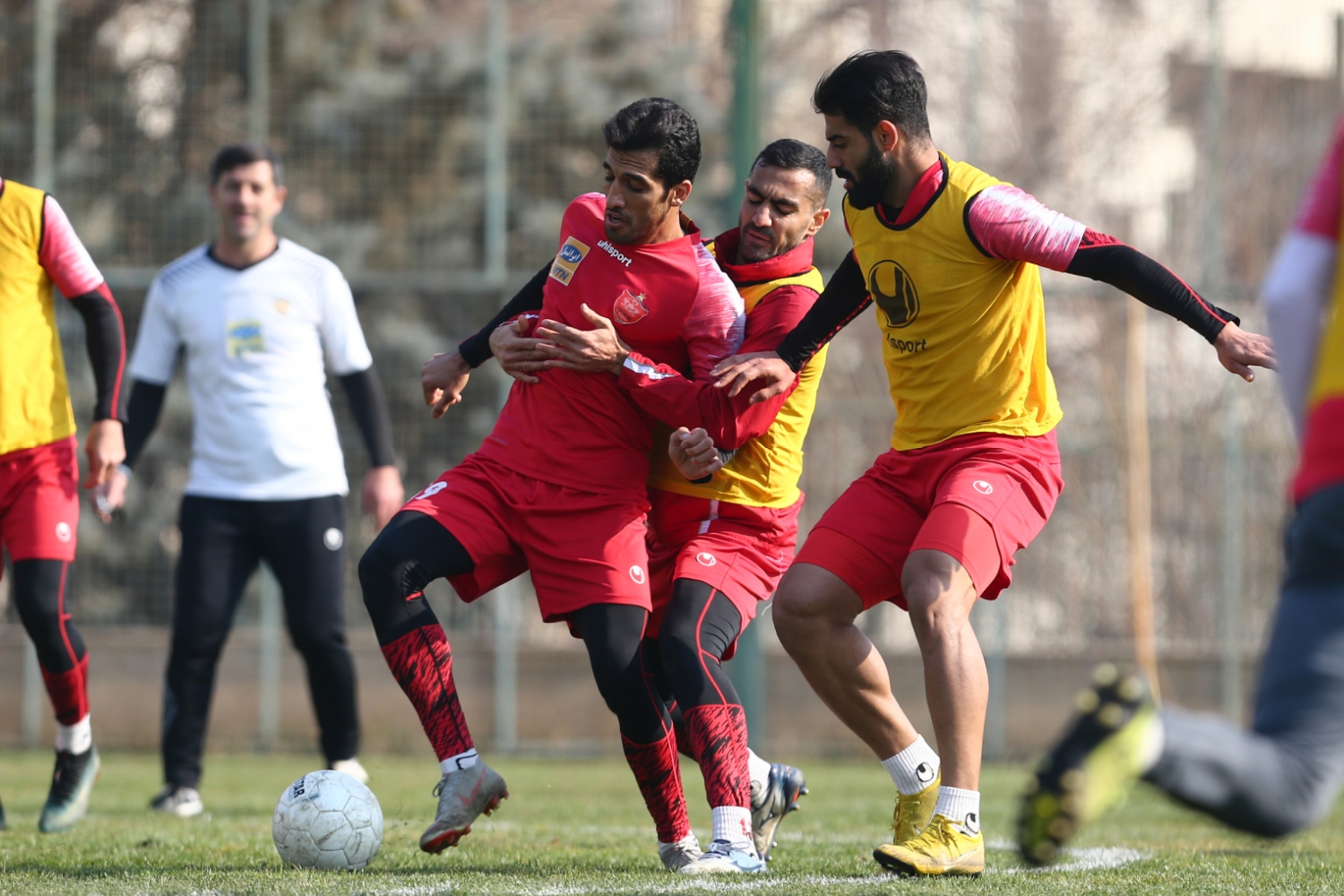 پرسپولیس به مصاف نفت مسجدسلیمان می&zwnj;رود/ رادوشِویچ پنجشنبه در تهران