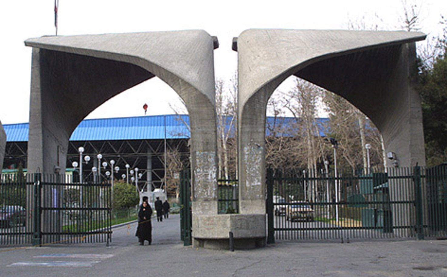 دانشگاه