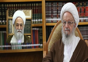 آیت الله مکارم شیرازی فقدان حجت الاسلام اسلامی را تسلیت گفت