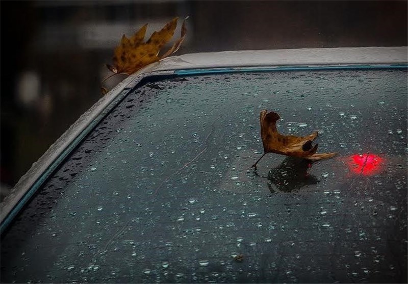 بارندگی در استان بوشهر تا فردا ادامه دارد