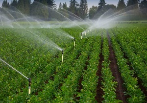 اجرای سیستم آبیاری تحت فشار در اراضی فارسان