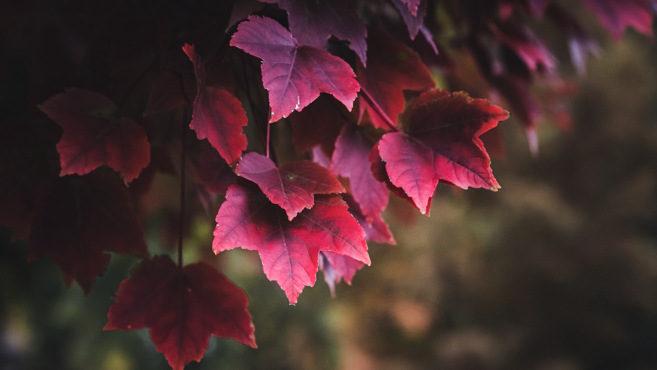 برترین تصاویر پس&zwnj;زمینه (۲۳ اردیبهشت)