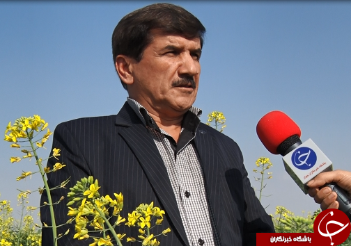 همراه با دانه روغنی کلزا از کشت تا کارخانه/ایران در مسیر خوداتکایی تولید روغن گام بر می&zwnj;دارد+فیلم/ناقص