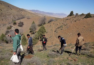 شروع عملیات بیولوژیک مشارکتی در ۷۰ هکتار از شهرستان سمنان