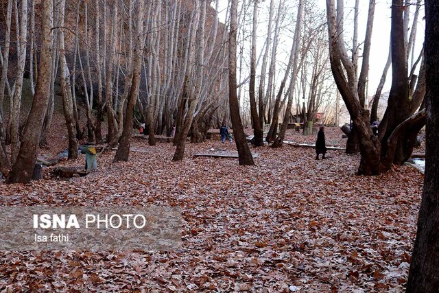 &laquo;تنگ گنجه ای&raquo; و زیبایی&zwnj;هایش