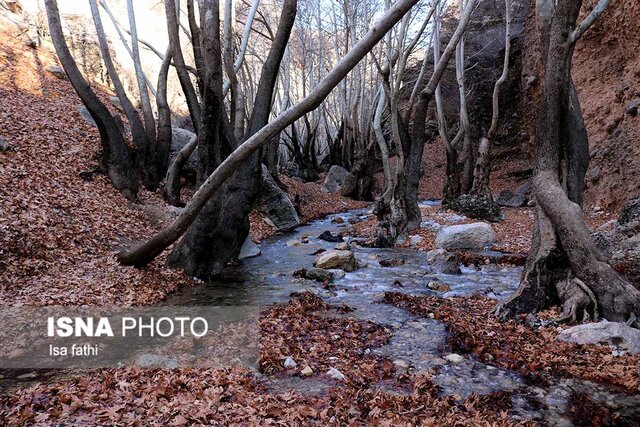 &laquo;تنگ گنجه ای&raquo; و زیبایی&zwnj;هایش