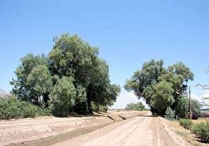 اهدای ۵۰۰ مترمربع زمین برای ساخت گود باستانی شهید سپهبد سلیمانی