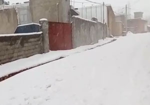 بارش برف زمستانی در «سپیدان» + فیلم