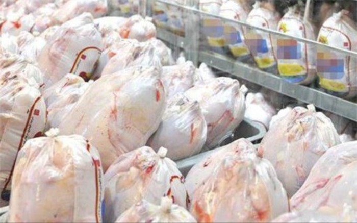 سقوط ۴۰۰ تومانی قیمت مرغ در بازار/ فروش با نرخ بالای ۱۲ هزار و ۵۰۰ تومان اجحاف در حق مصرف کننده است