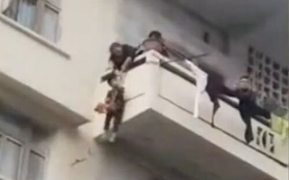 مادربزرگی که نوه‌اش را قربانی گربه خود کرد!