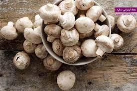 پرورش و تولید قارچ خوراکی از مشاغل زودبازده است