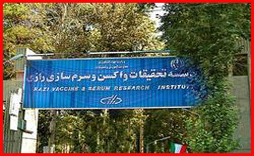 جذابترین اخبار استان ها