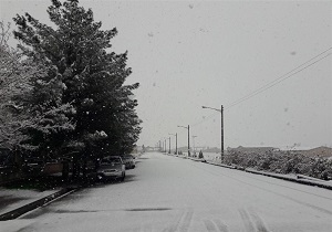 آماده باش نیرو‌های امدادی در خراسان جنوبی/ مدارس برخی از شهرستان‌ها امروز تعطیل شد