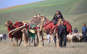 تسطیح ۲۲۰ کیلومتر راه عشایری شیروان