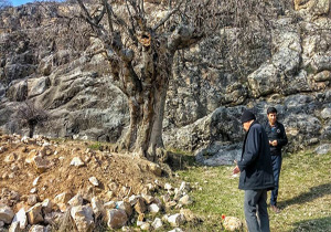 ۱۲ هزار گشت نظارت و کنترل یگان حفاظت میراث فرهنگی